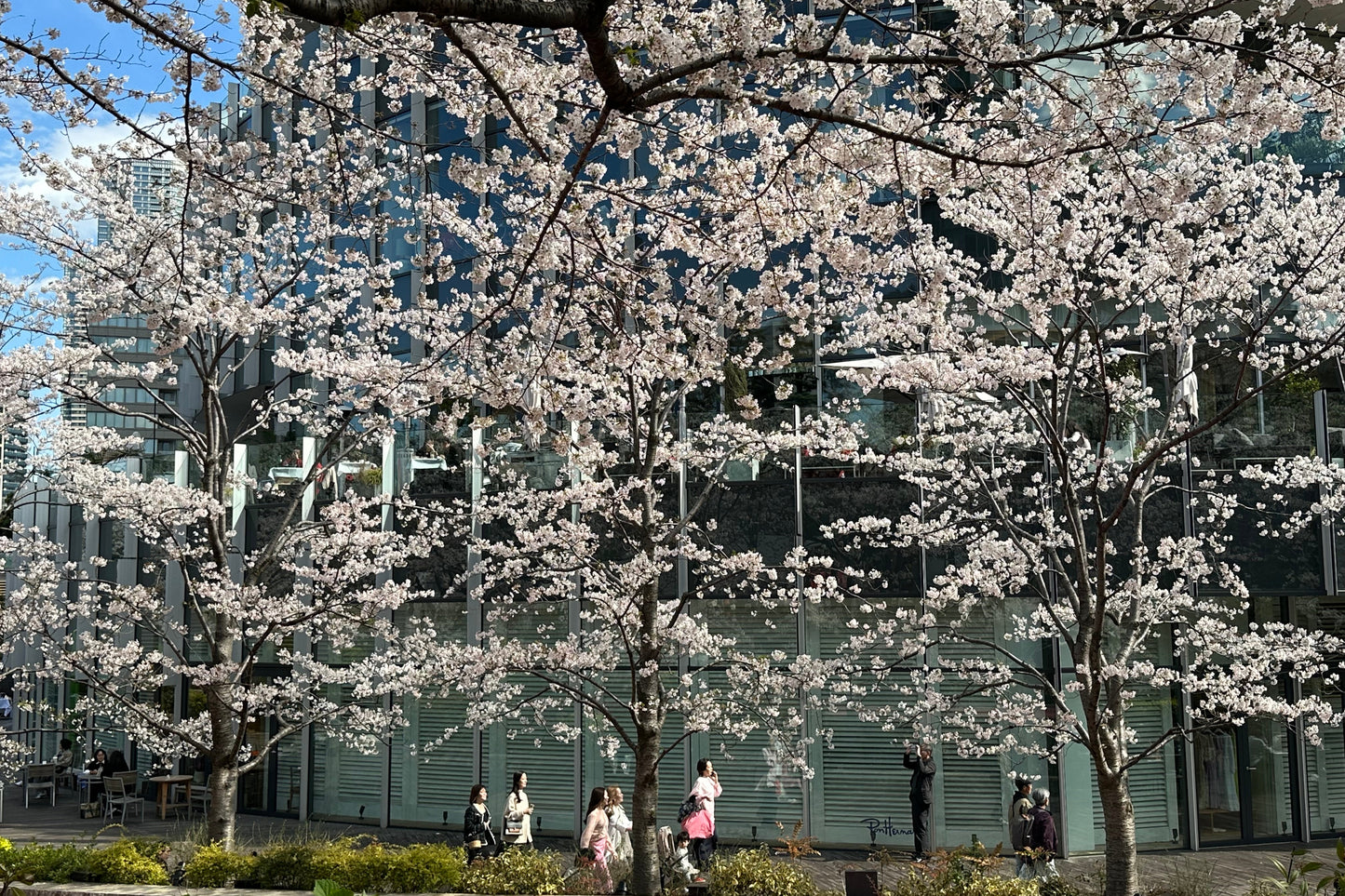 Omiya Park No.001 (digital content)