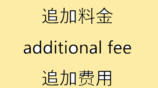 追加费用3