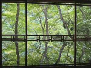 Arashiyama Yusato No.001 (digital content)