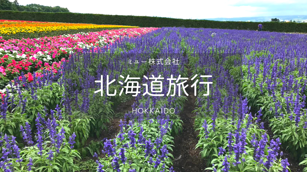 【北海道】富良野/美瑛・日帰りカーチャーター