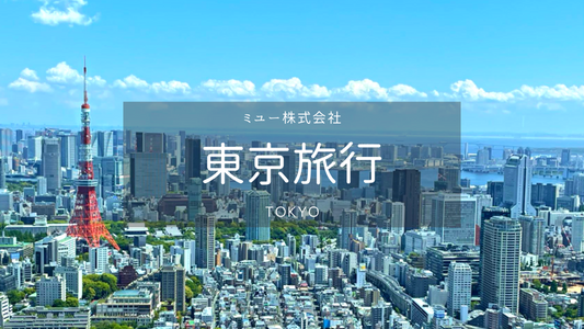 【東京】成田空港→東京23区 空港送迎