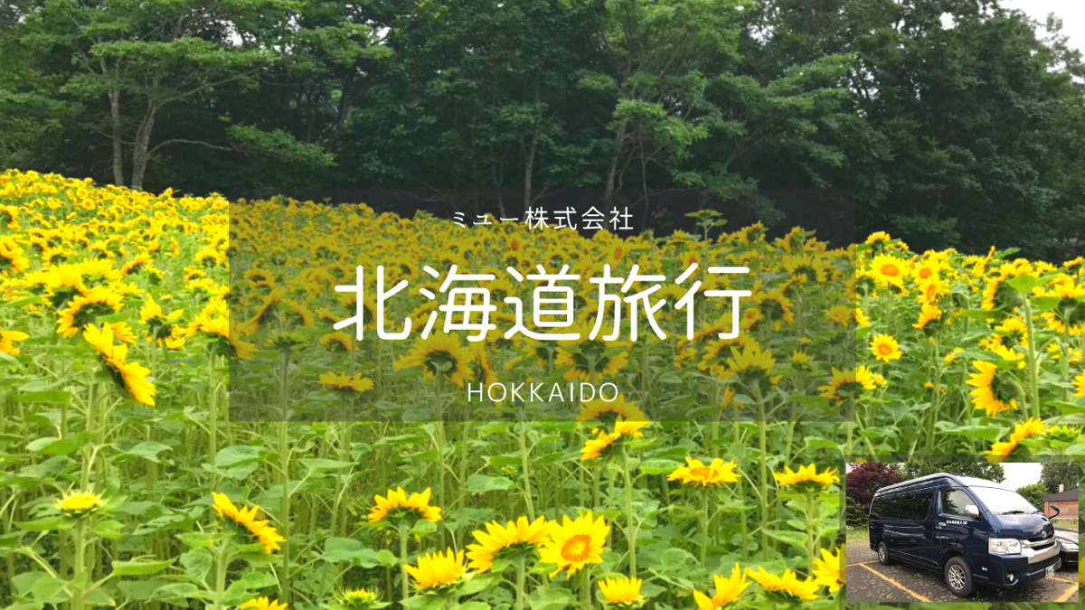 【北海道】洞爺湖/二世古/留寿都・日帰りカーチャーター