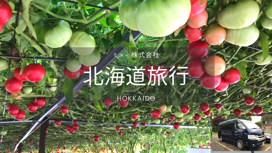 【北海道】旭川・日帰りカーチャーター(お正月・クリスマス)
