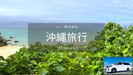 【沖縄】エリア内・日帰りカーチャーター