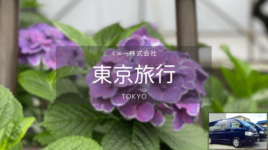 【東京】富士山から東京・日帰りカーチャーター