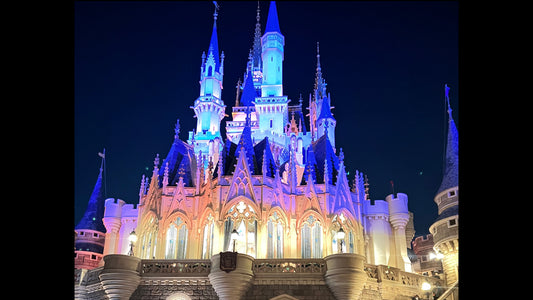 【東京】東京23区→東京ディズニーリゾート　片道送迎