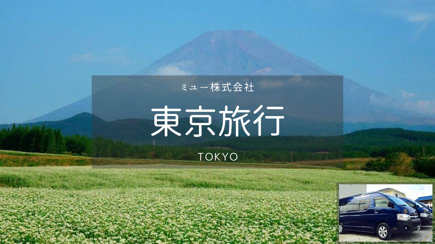 [Tokyo] From Tokyo to Mt. Fuji. a day -trip car charter.  【 December 20, 2025 to January 10, 2026 (the first month period) February 13, 2026 to February 23, 2026 (the old first month period)】