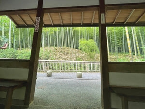 Arashiyama bamboo grove No.001 (digital content)