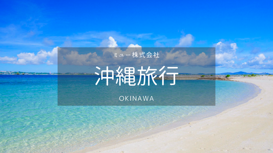 [Okinawa] Naha Airport → Naha Airport transfer