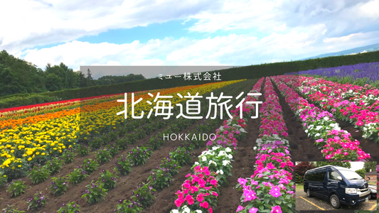 [Hokkaido] Hoshino/Kokou/Day Car Chaterer