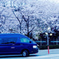 [Tokyo] From Tokyo to Mt. Fuji. a day -trip car charter.